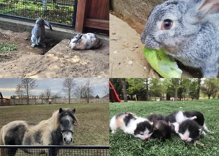 Family Farm Vendeghaz Gæstehus